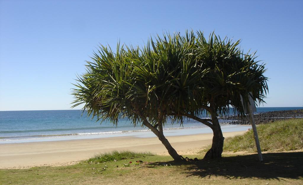 Koola Beach Apartments Bargara Exteriér fotografie